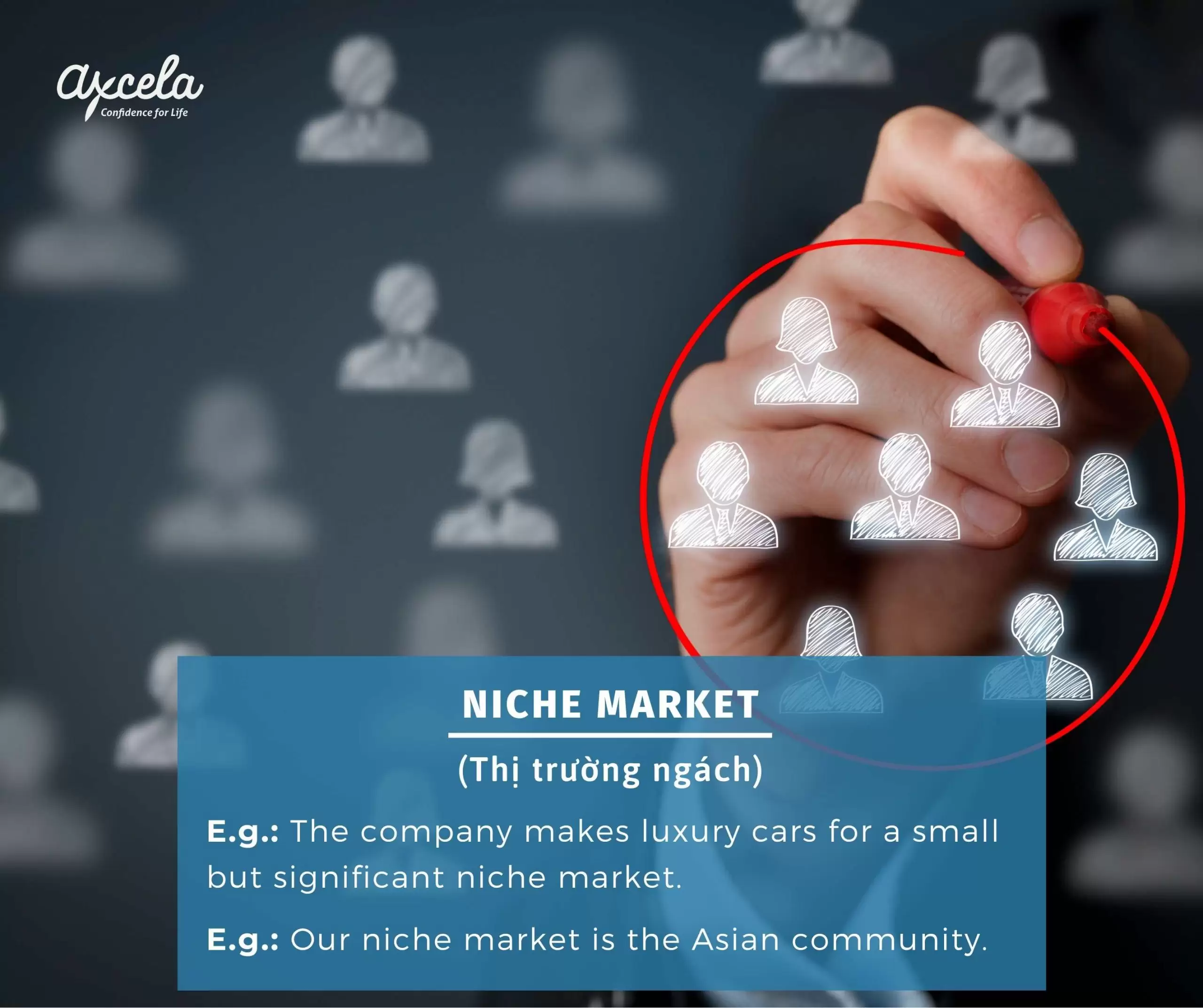 niche-market-thi-truong-ngach