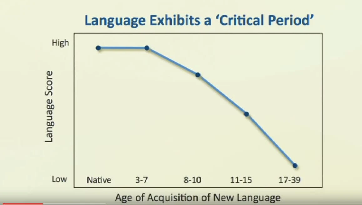 gia-thuyet-ve-critical-age-period